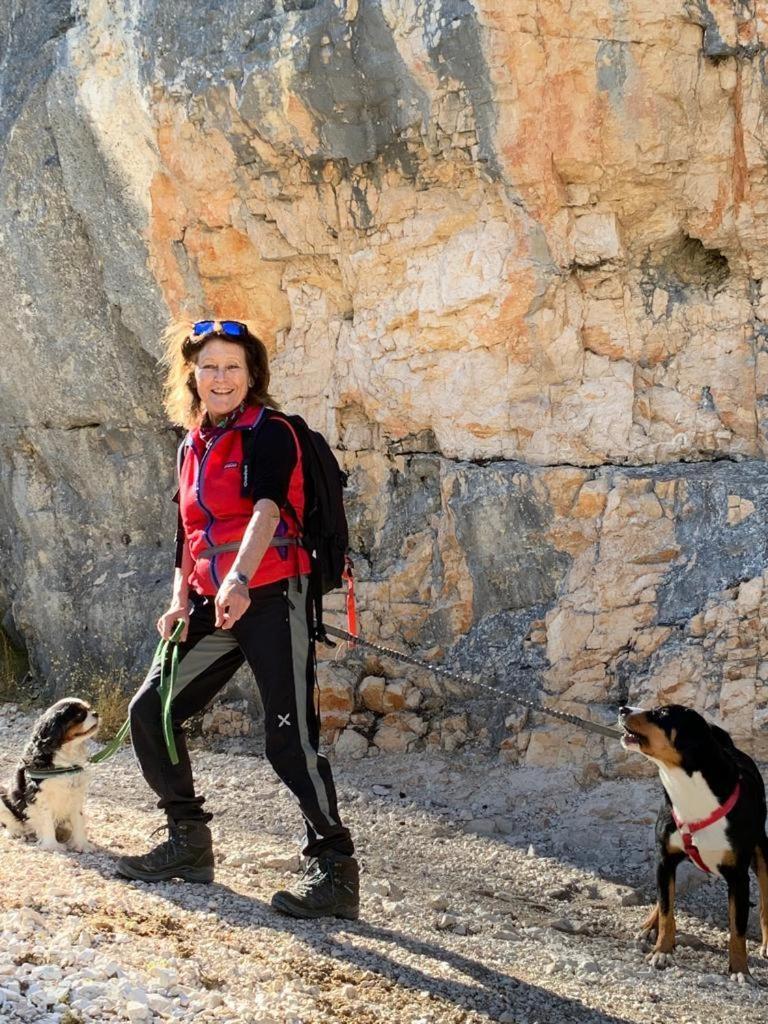 B&B Cristallo Cortina dʼAmpezzo Zewnętrze zdjęcie