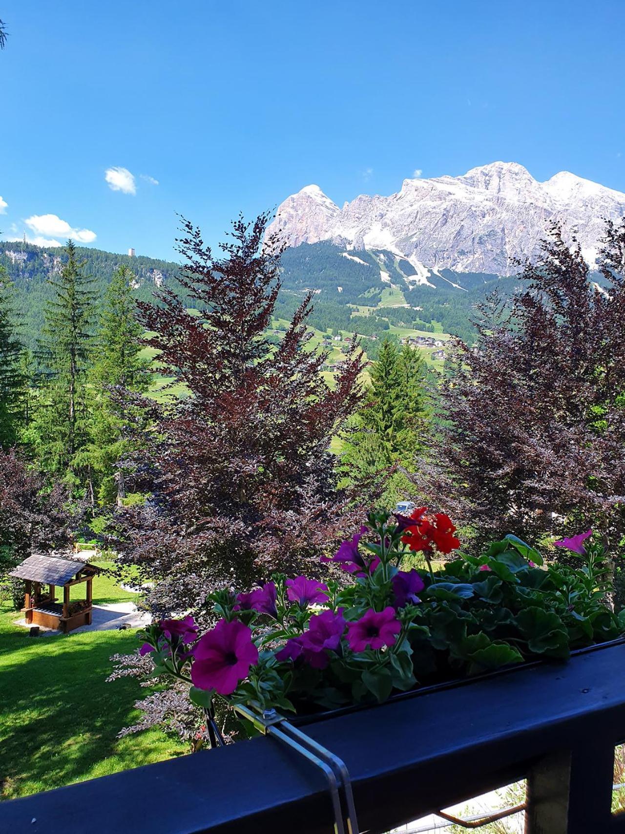 B&B Cristallo Cortina dʼAmpezzo Zewnętrze zdjęcie
